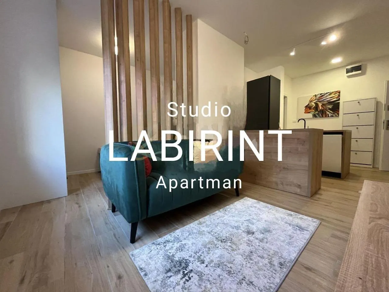 Apartment Studio Apartman Labirint Rijeka